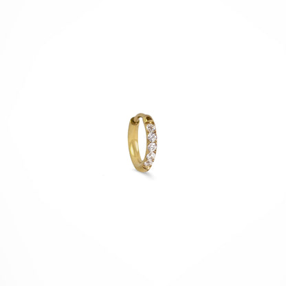 Claris Zirconia Hoops