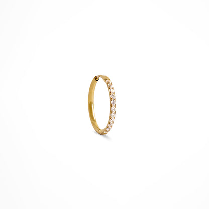 Claris Zirconia Hoops