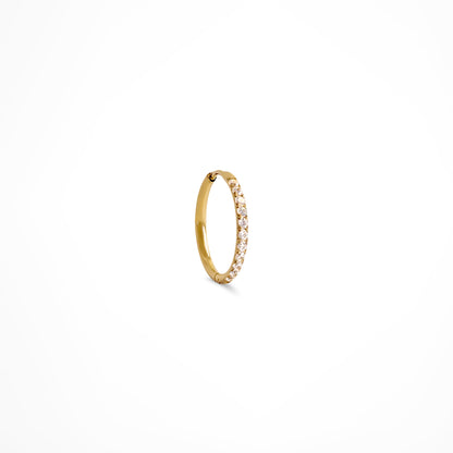 Claris Zirconia Hoops